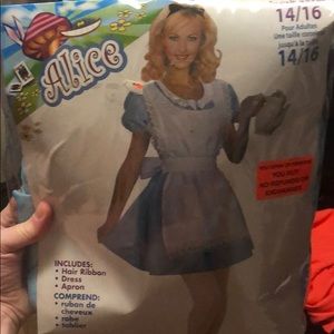 ALICE IN WONDERLAND COSTUME